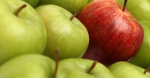 Individualism in Education